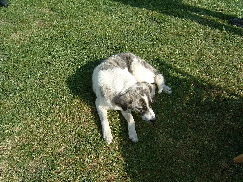 DSCF0194.JPG